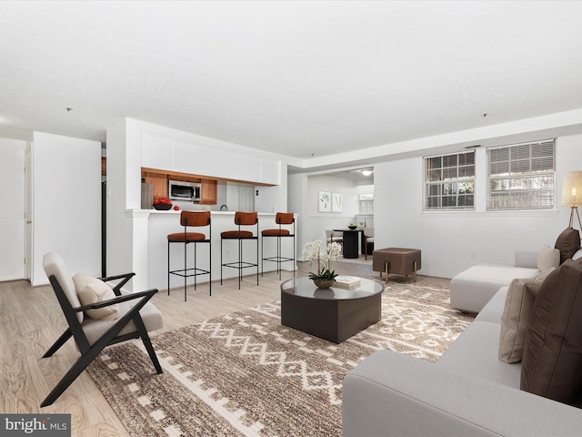 living room with light wood-type flooring