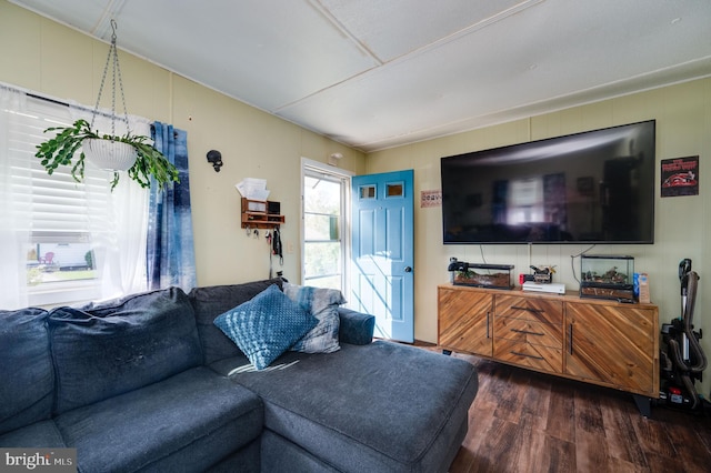 living area featuring dark wood finished floors