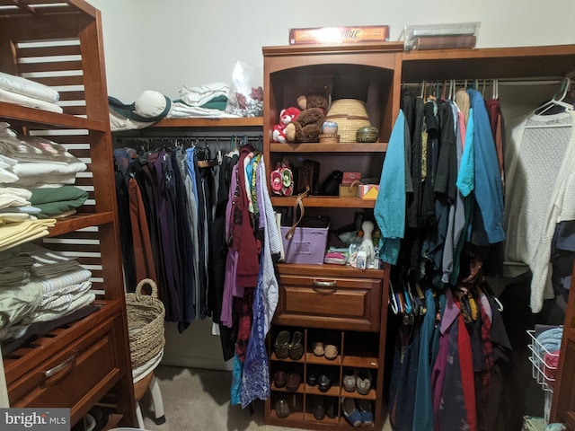 walk in closet with carpet floors