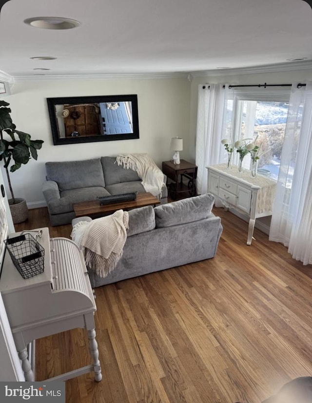 living room with light wood-type flooring and ornamental molding