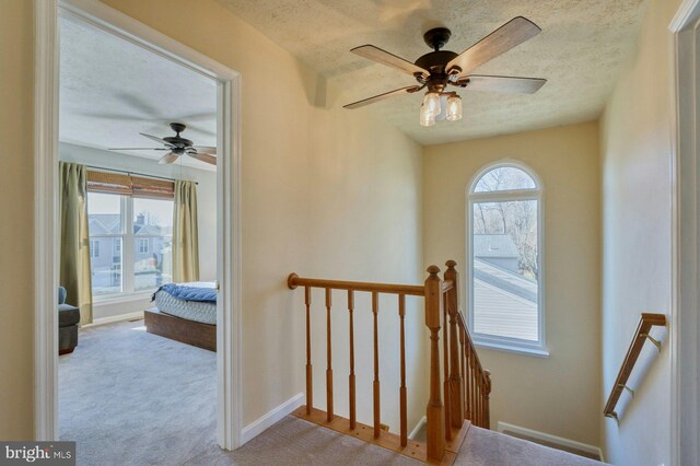 stairs with plenty of natural light, carpet, and a textured ceiling