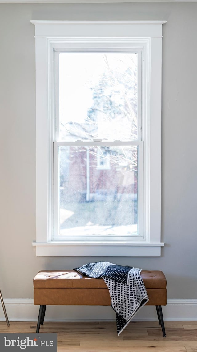 interior details with baseboards and wood finished floors