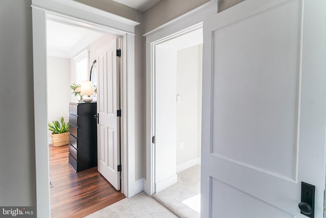 hall featuring carpet floors, baseboards, and wood finished floors