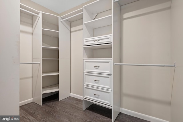 spacious closet featuring dark wood-style flooring