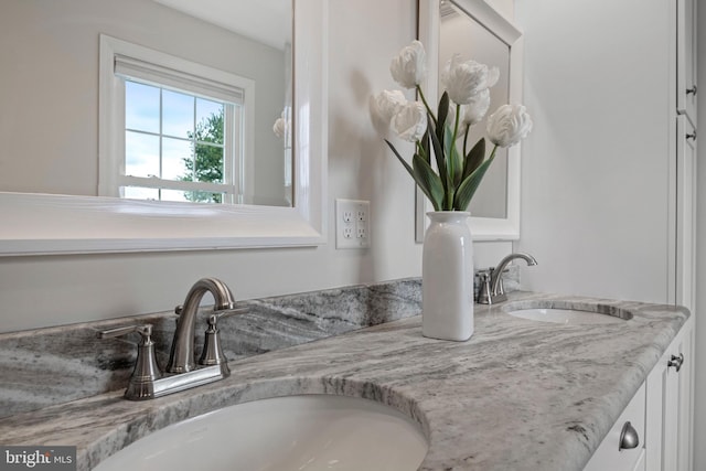 interior details featuring a sink and double vanity