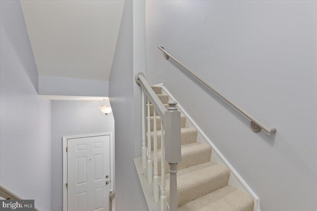 stairway featuring carpet flooring