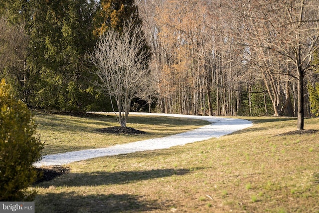 view of property's community featuring a lawn and a view of trees