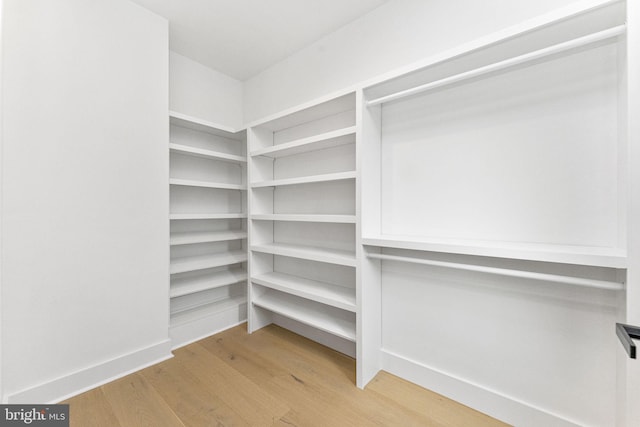 spacious closet with light wood-style flooring