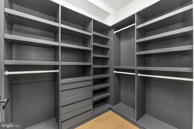 spacious closet featuring light wood-type flooring