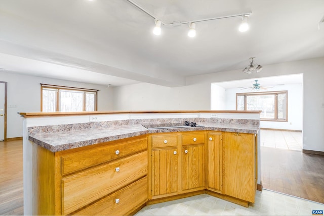 kitchen with a wealth of natural light, brown cabinets, light wood finished floors, and black electric stovetop