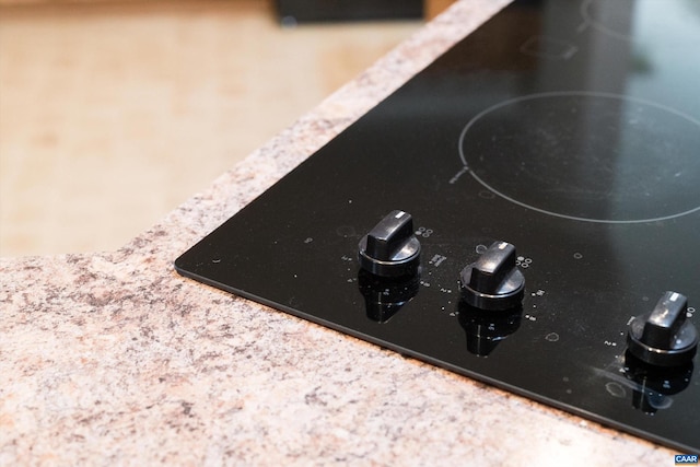 room details with black electric stovetop