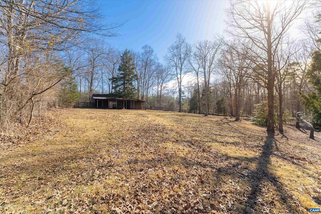 view of yard with an outdoor structure and an outbuilding