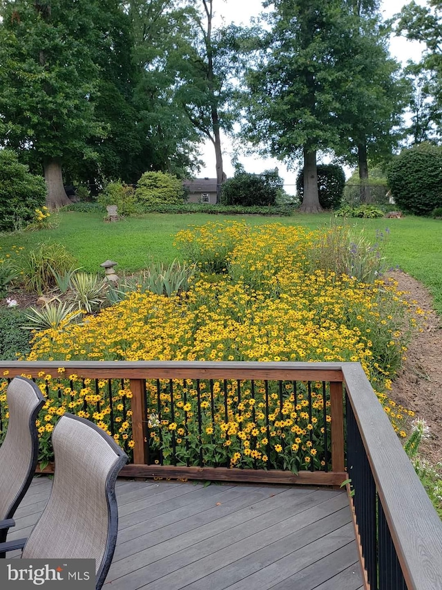 wooden terrace with a lawn