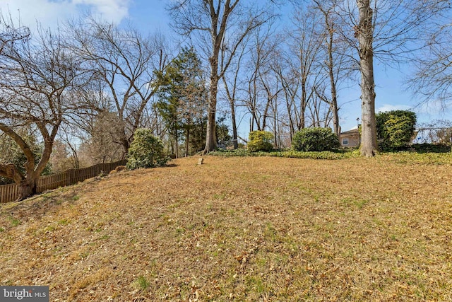 view of yard featuring fence