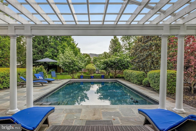 pool featuring a patio area and a pergola