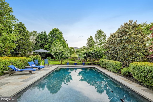 outdoor pool with a patio