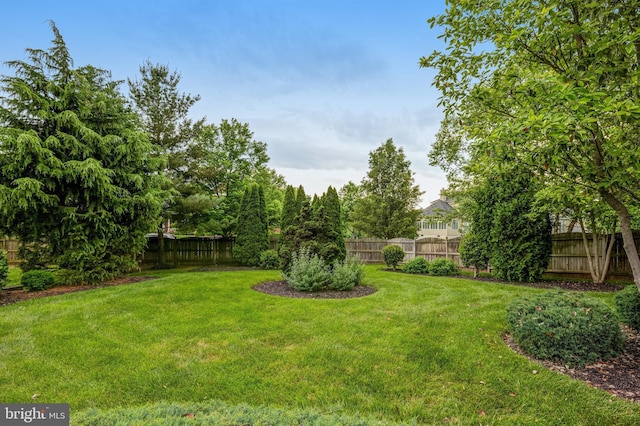 view of yard featuring a fenced backyard