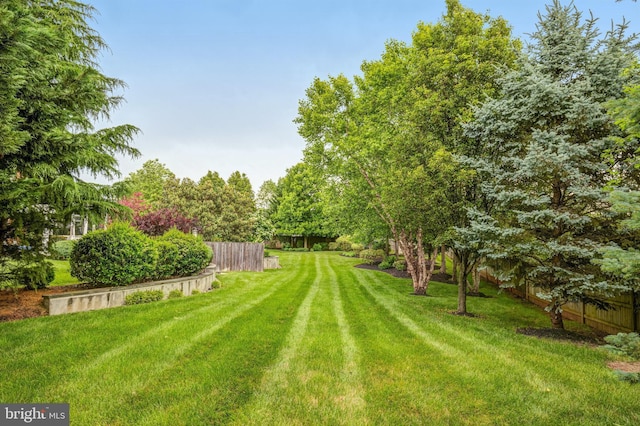 view of yard featuring fence