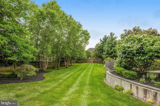 view of yard featuring a fenced backyard