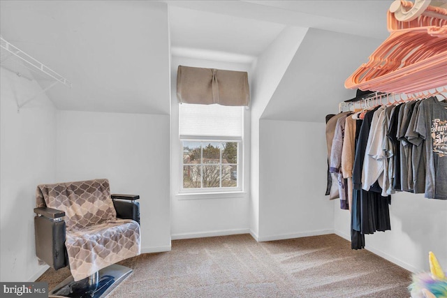 spacious closet with lofted ceiling and carpet floors