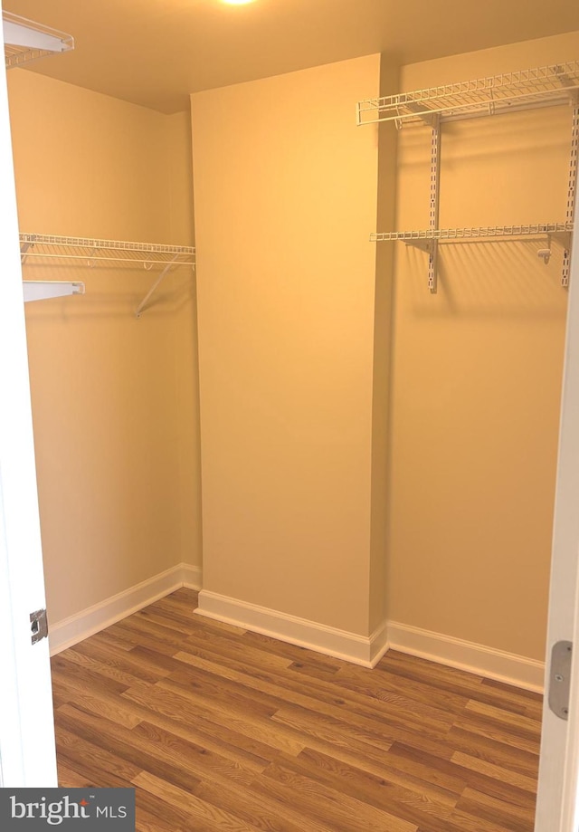 spacious closet featuring wood finished floors