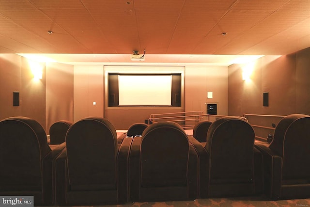 view of cinema room