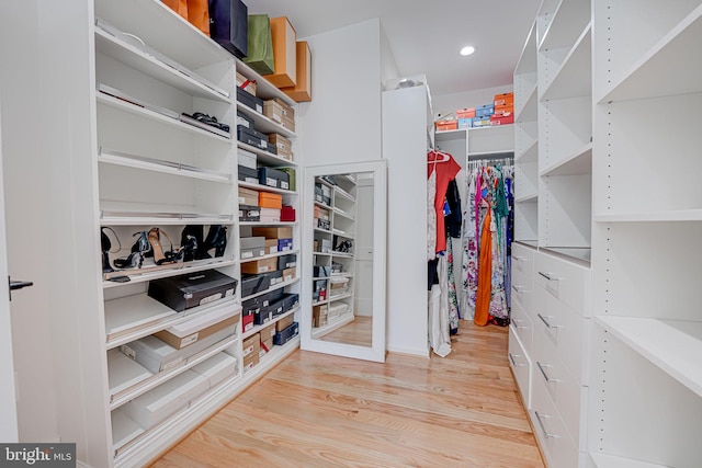 spacious closet featuring wood finished floors