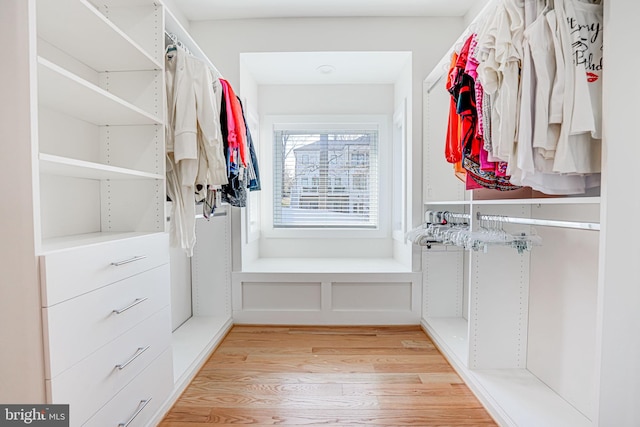 walk in closet featuring light wood finished floors