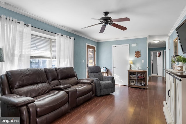 living area with ceiling fan, plenty of natural light, ornamental molding, and dark wood finished floors