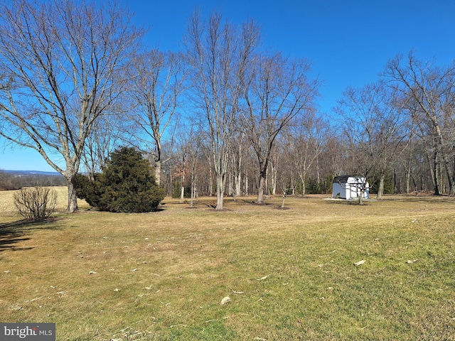 view of yard with an outbuilding and a shed