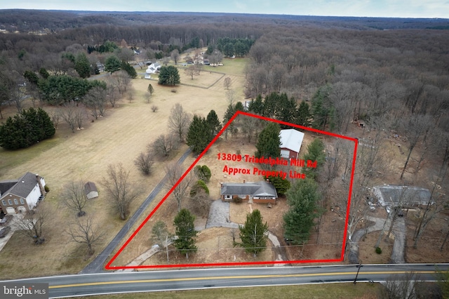 bird's eye view with a rural view and a wooded view