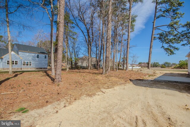 view of yard featuring dirt driveway