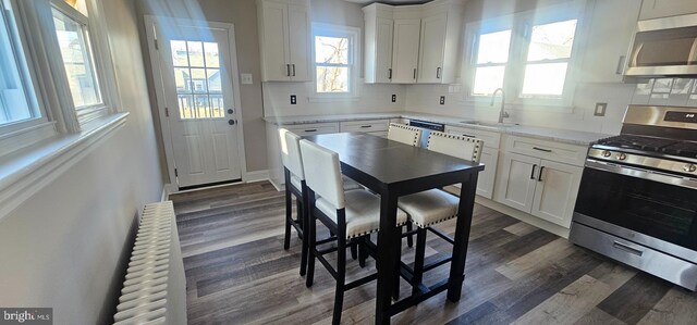 kitchen with a sink, dark wood-type flooring, tasteful backsplash, and stainless steel appliances