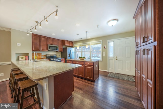 kitchen featuring a sink, a peninsula, stainless steel appliances, and dark wood-style flooring