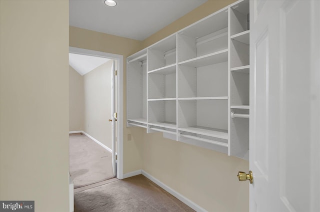 spacious closet featuring carpet flooring