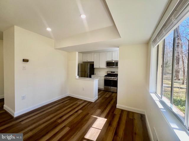 kitchen featuring baseboards, white cabinets, dark wood-type flooring, a peninsula, and stainless steel appliances