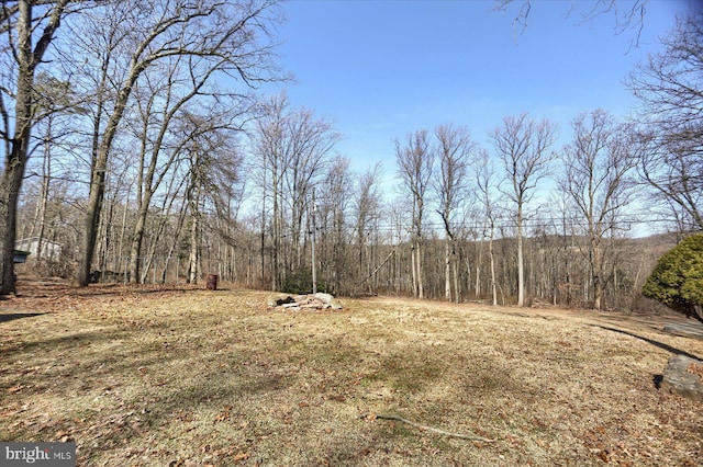 view of yard featuring a wooded view