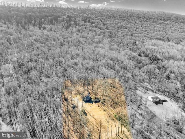 birds eye view of property featuring a forest view