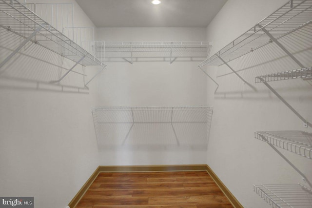 walk in closet featuring wood finished floors