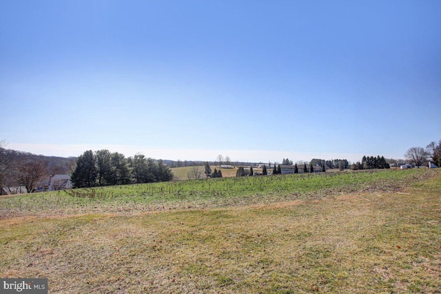 view of landscape featuring a rural view