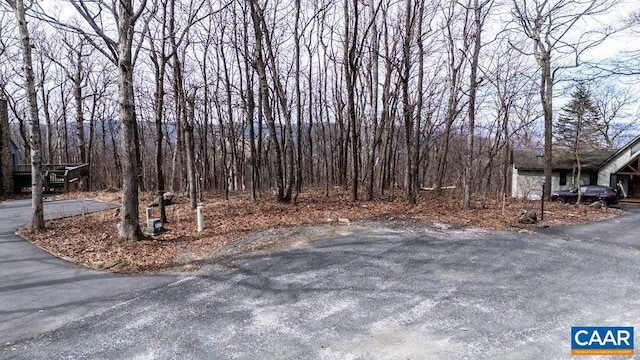 Listing photo 3 for 25 Fernwood Ct Unit 15, Wintergreen Resort VA 22967