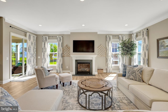 living area with crown molding, a wealth of natural light, and light wood finished floors