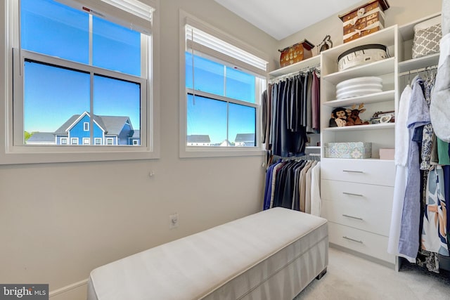walk in closet featuring light colored carpet
