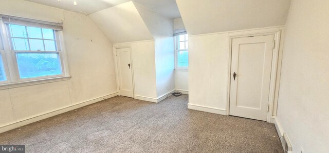 additional living space featuring carpet flooring, baseboards, and lofted ceiling