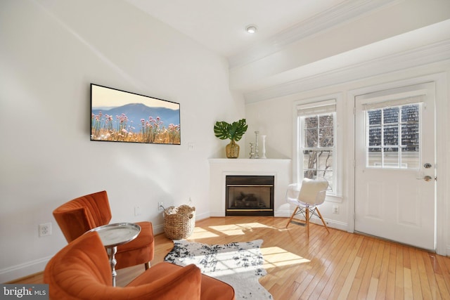 living room with baseboards, hardwood / wood-style floors, and a fireplace