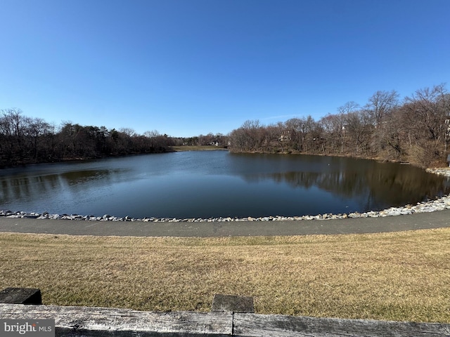 view of water feature with a wooded view