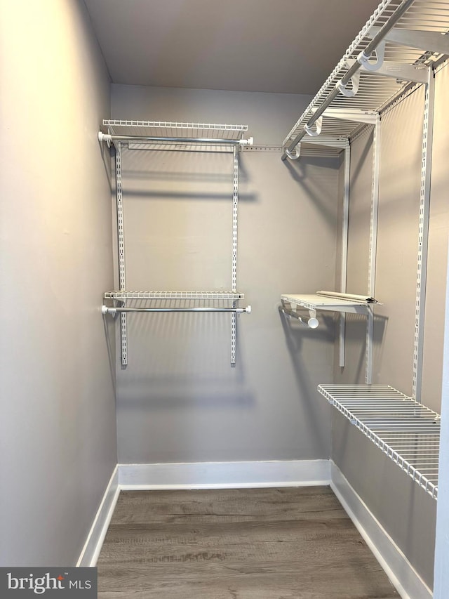 spacious closet featuring wood finished floors