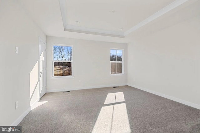 unfurnished room featuring a tray ceiling, baseboards, and a wealth of natural light