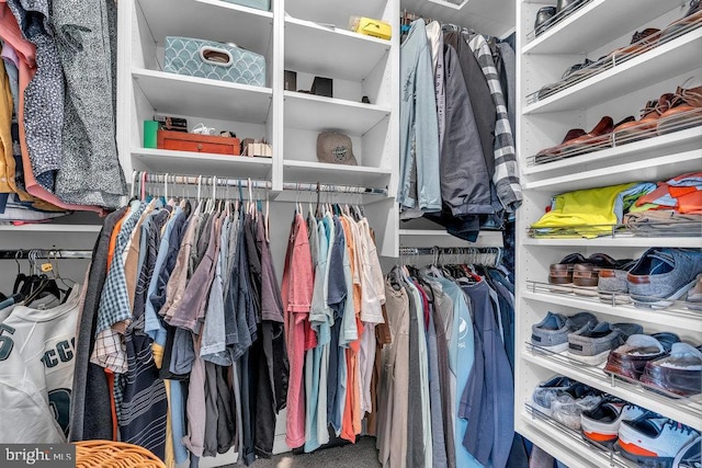 view of spacious closet