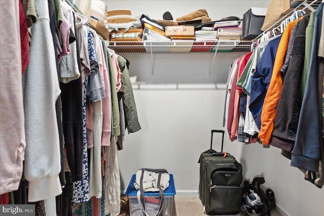 spacious closet featuring carpet floors